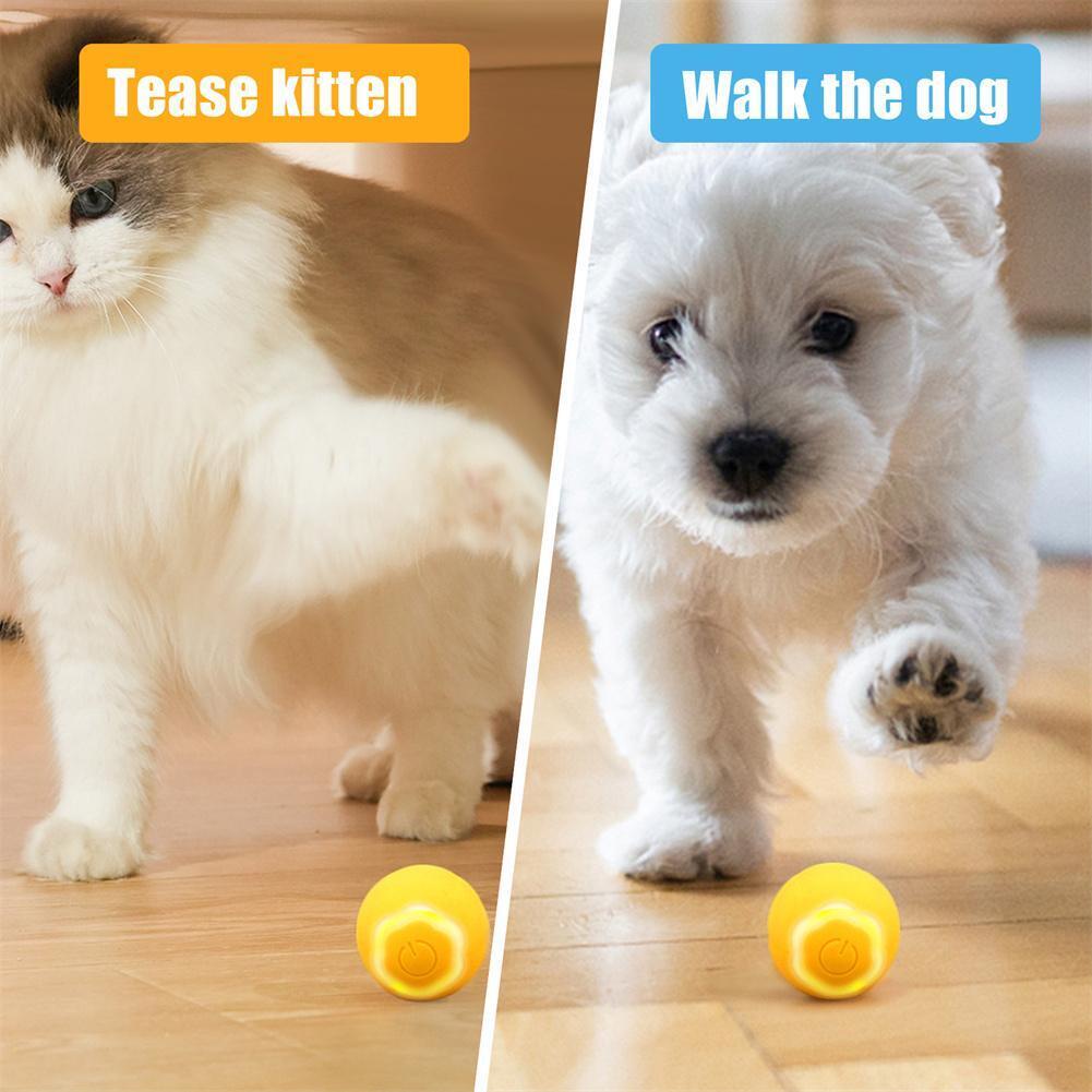 Đồ Chơi Bóng Lăn Tự Động Thông Minh Sạc USB H7N9 Dành Cho Mèo Cưng