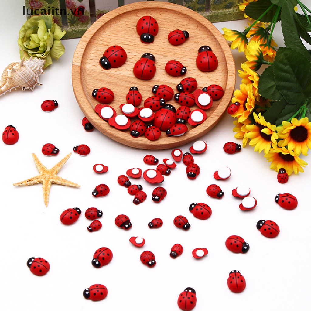 Set 100 Mô Hình Bọ Cánh Cứng Mini Dùng Để Trang Trí Nội Thất