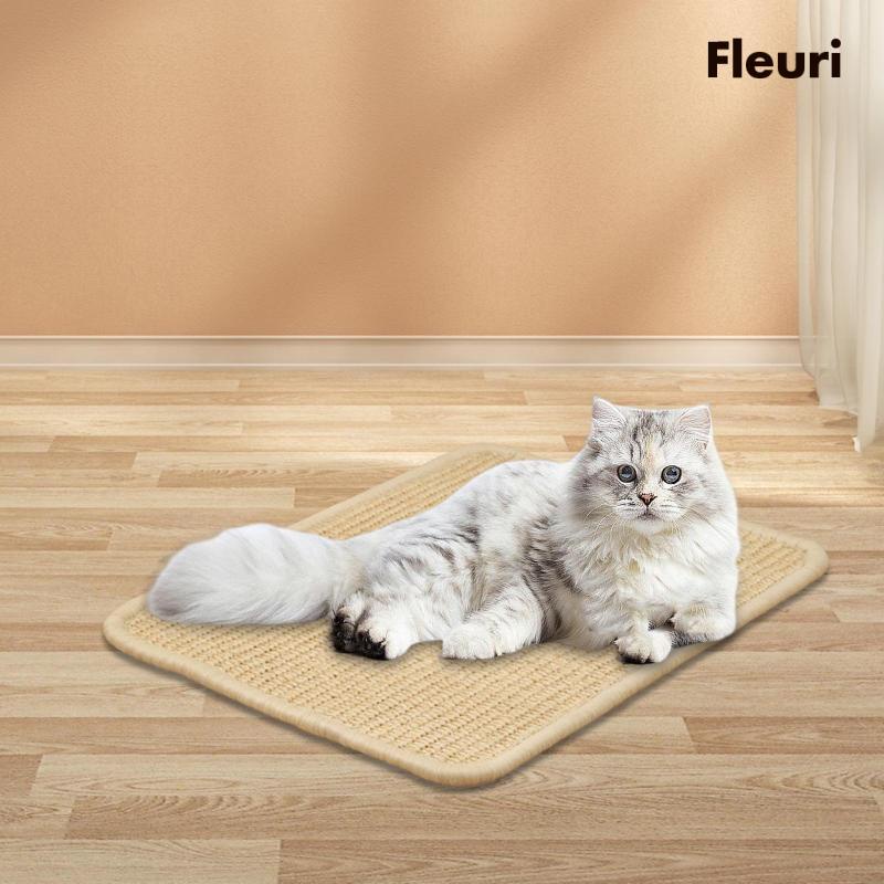 Thảm Cào Móng Cho Mèo Hình Chữ Nhật Chống Cào Có Thể Tái Sử Dụng
