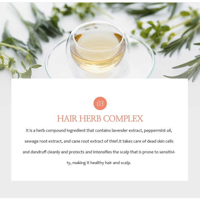 Dầu Gội Hương Hoa Hồng Đen Daycell Medi Lab 350Ml