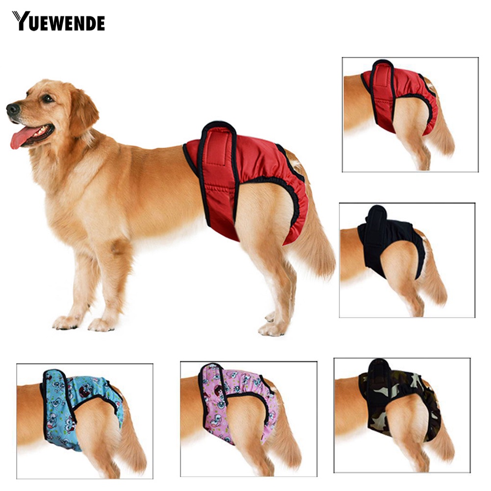 Tã Quần Sinh Lý In Họa Tiết Hoạt Hình Dễ Thương Giặt Được Tiện Dụng Cho Nữ