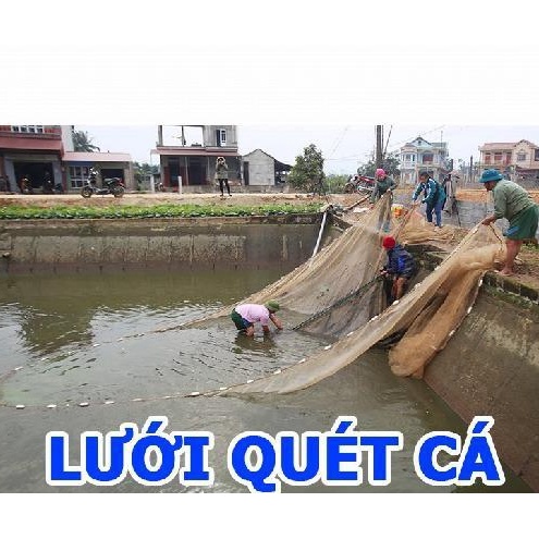 Lưới Vét Cá - Lưới Quét Cá Cao 2m Dài 10m - 20m- 30m - 40m - 50m A Đồ Câu SIMANO ( Đặt hàng theo yêu cầu )