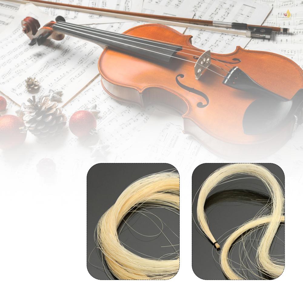 Cung Vĩ Cầm Chuyên Nghiệp Bằng Lông Ngựa Phù Hợp Cho Đàn Viola Cello Và Bass Bows