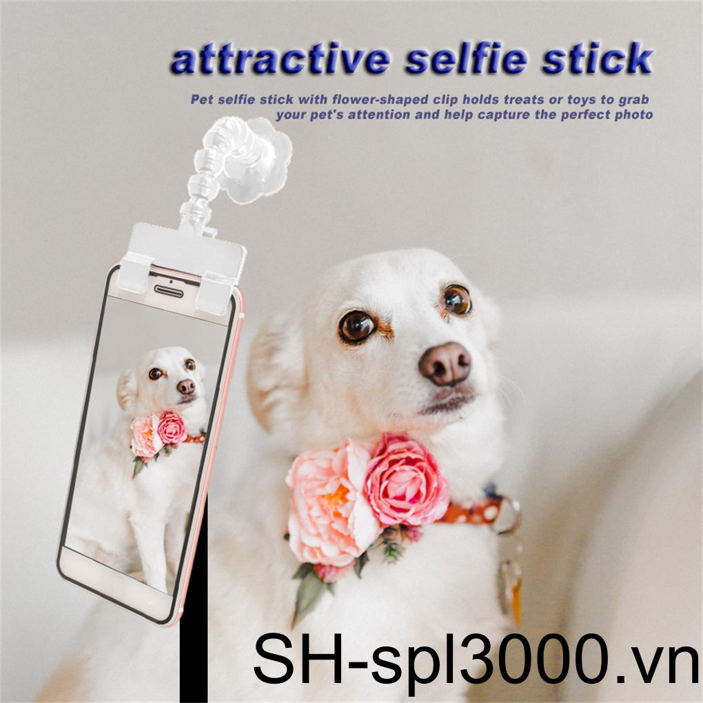 Gậy Tự Sướng Xoay 360 Độ Hỗ Trợ Huấn Luyện Thú Cưng
