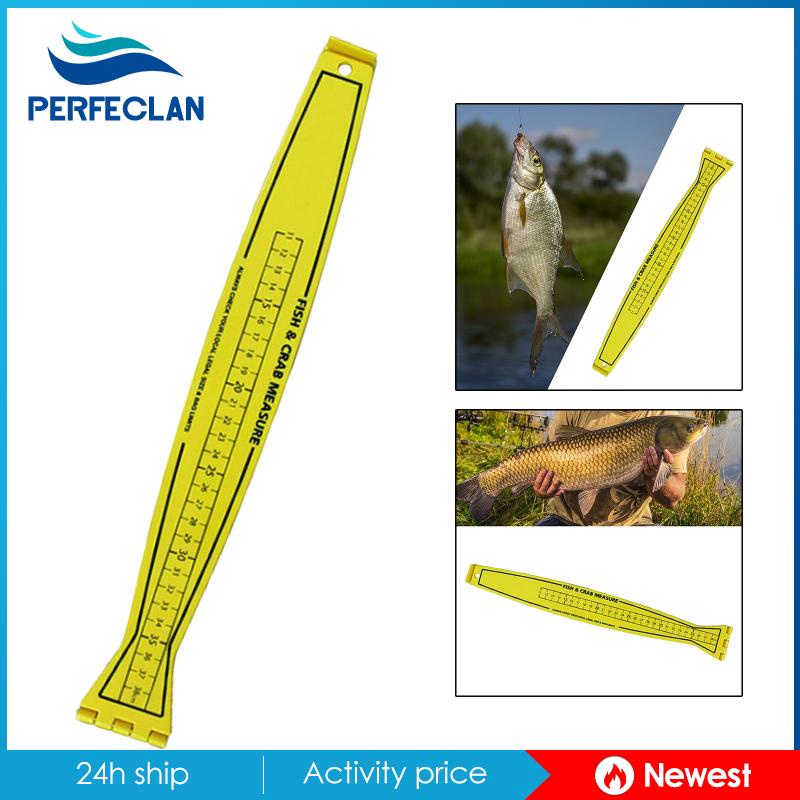 Thước Dây Câu Cá 31 &quot;Cho Thuyền Kayak