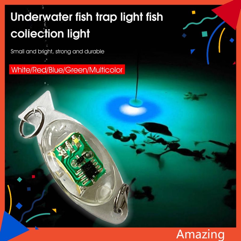 Đèn Mồi Câu Cá Chuyên Nghiệp Chất Lượng Cao Tiện Lợi Dễ Sử Dụng