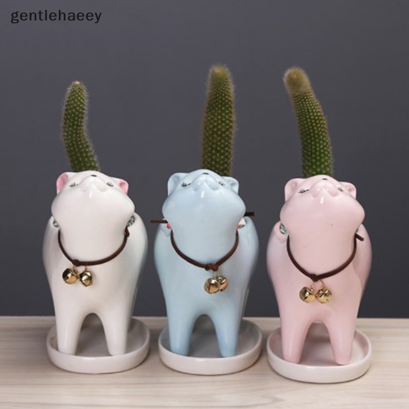 Chậu Sứ Trồng Cây Mọng Nước Chống Mòn Hình Mèo Dễ Thương
