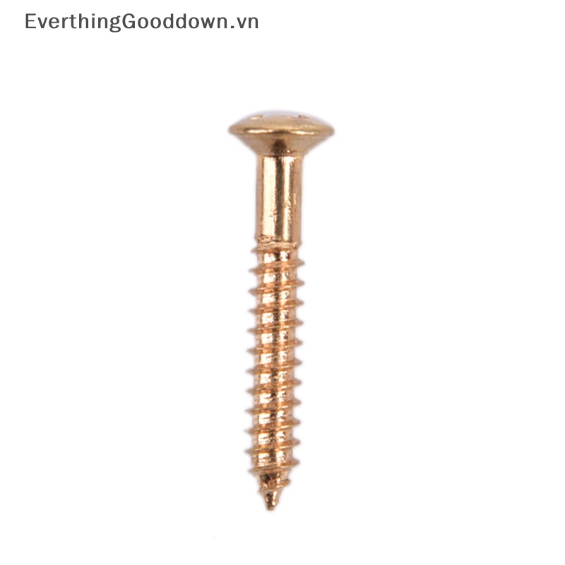Everthinggooddown Set 20 Ốc Vít Cố Định Khung Pickup Cho Đàn Guitar Điện
