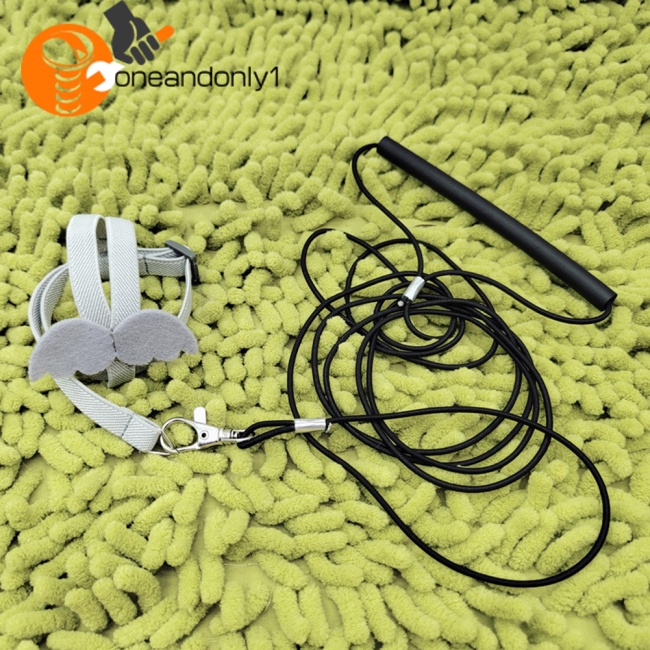 Dây Đai Dắt Chim Vẹt Đi Dạo Siêu Nhẹ Tùy Chỉnh Kèm Tay Cầm Thoải Mái Tiện Dụng