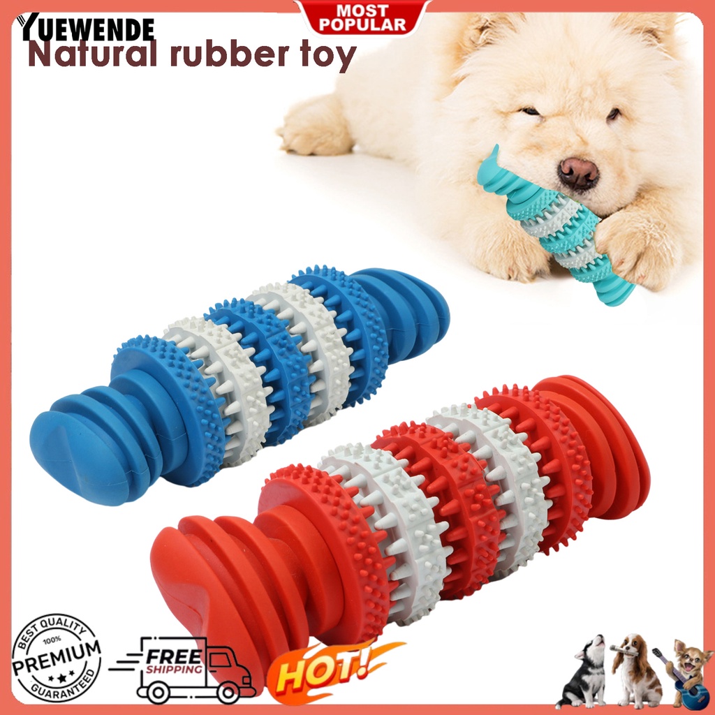 Đồ Chơi Nhai Gặm Bằng Cao Su Tự Nhiên Chống Cắn Lâu Trôi Cho Thú Cưng