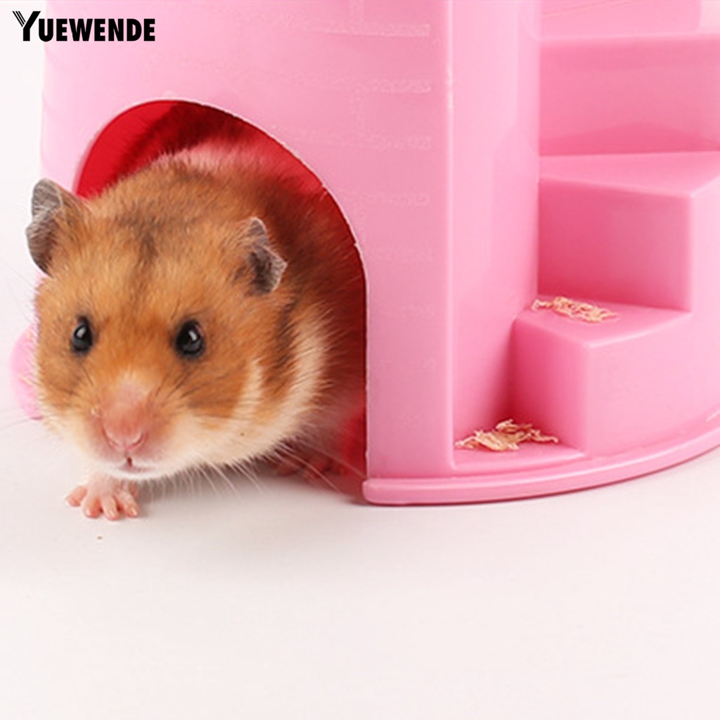 Khay Đựng Thức Ăn / Nước Uống Đa Năng Cho Hamster