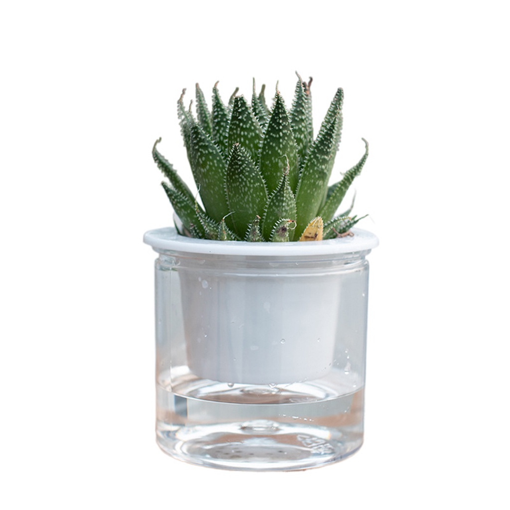 Đế Lót Ly Tiết Kiệm Nước Thoáng Khí Trọng Lượng Nhẹ 11 * 12cm