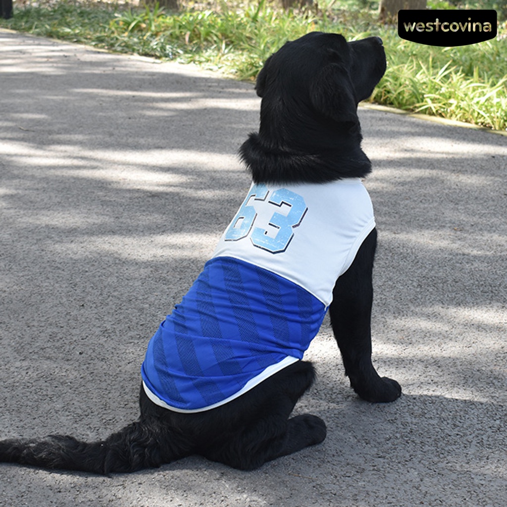 [COD]♞Áo Tank Top Thể Thao Thấm Hút Mồ Hôi Nhanh Khô Cho Thú Cưng