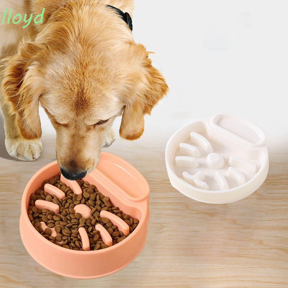 LLOYD 1 Tô Đựng Thức Ăn Cho Thú Cưng Chống Nghẹn Chống Nghẹt