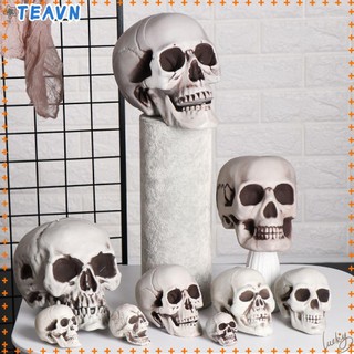 Đầu Lâu Trang Trí Halloween Nhiều Kích Cỡ Tuỳ Chọn