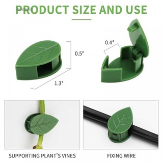 Plant Clips Traction Holder 125g 252cm 50pcs Clips For Climbing Plants