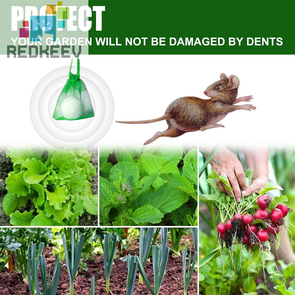 Set 8 Bóng Đuổi Chuột Tiện Dụng Chất Lượng Cao