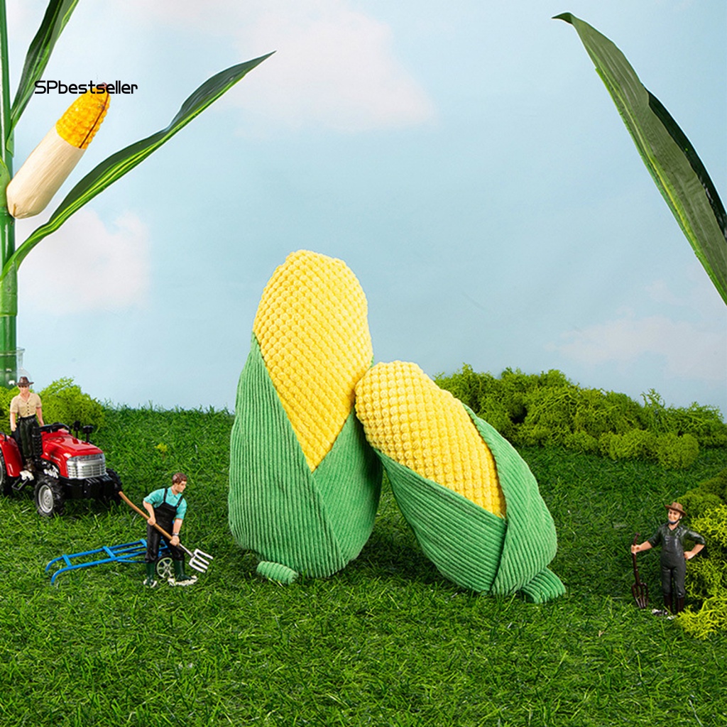 Đồ Chơi Nhai Gặm Độ Đàn Hồi Cao Có Thể Tái Sử Dụng Hỗ Trợ Huấn Luyện Thú Cưng