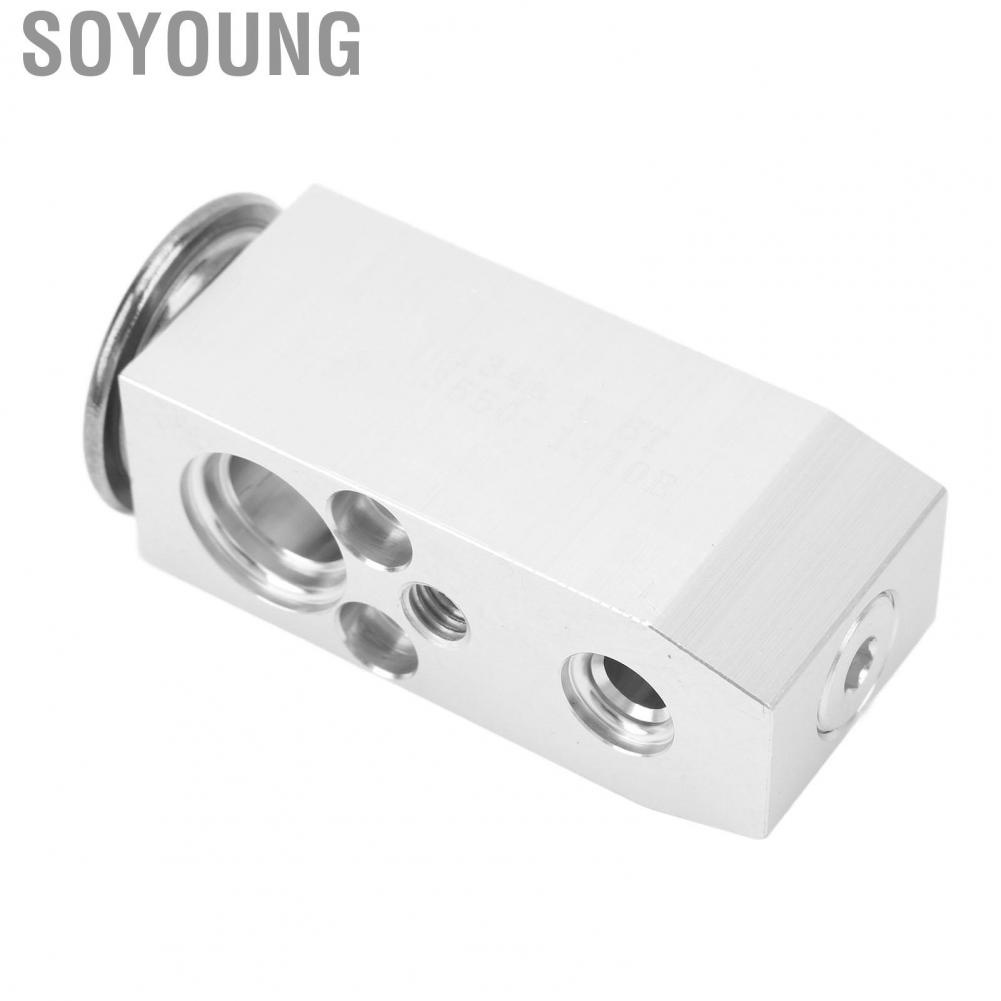 Soyoung 3411868  Reliable Lightweight High Efficiency AC Expansion Valve Front for Cars