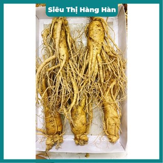 SÂM TƯƠI HÀN QUỐC 1/5;6;7;;9;10 củ