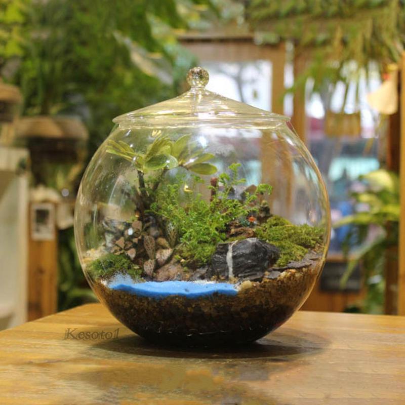 Thủy tinh terrarium centerpiece hộp đựng cây thủy tinh tự làm cho phòng ngủ nuts