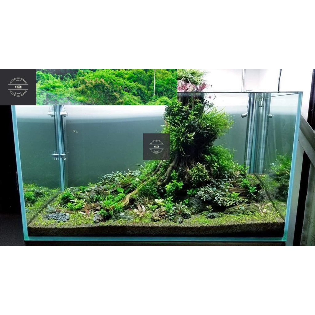 Bể cá mini đầy đủ phụ kiện trang trí 30x17x17cm nhỏ gọn siêu đẹp. Led 3 màu, lọc thác. Bảo hành bể vỡ
