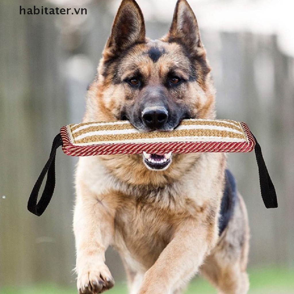 Gối Đồ Chơi Huấn Luyện Cún Cưng Bằng Sợi Đay Bền Bỉ