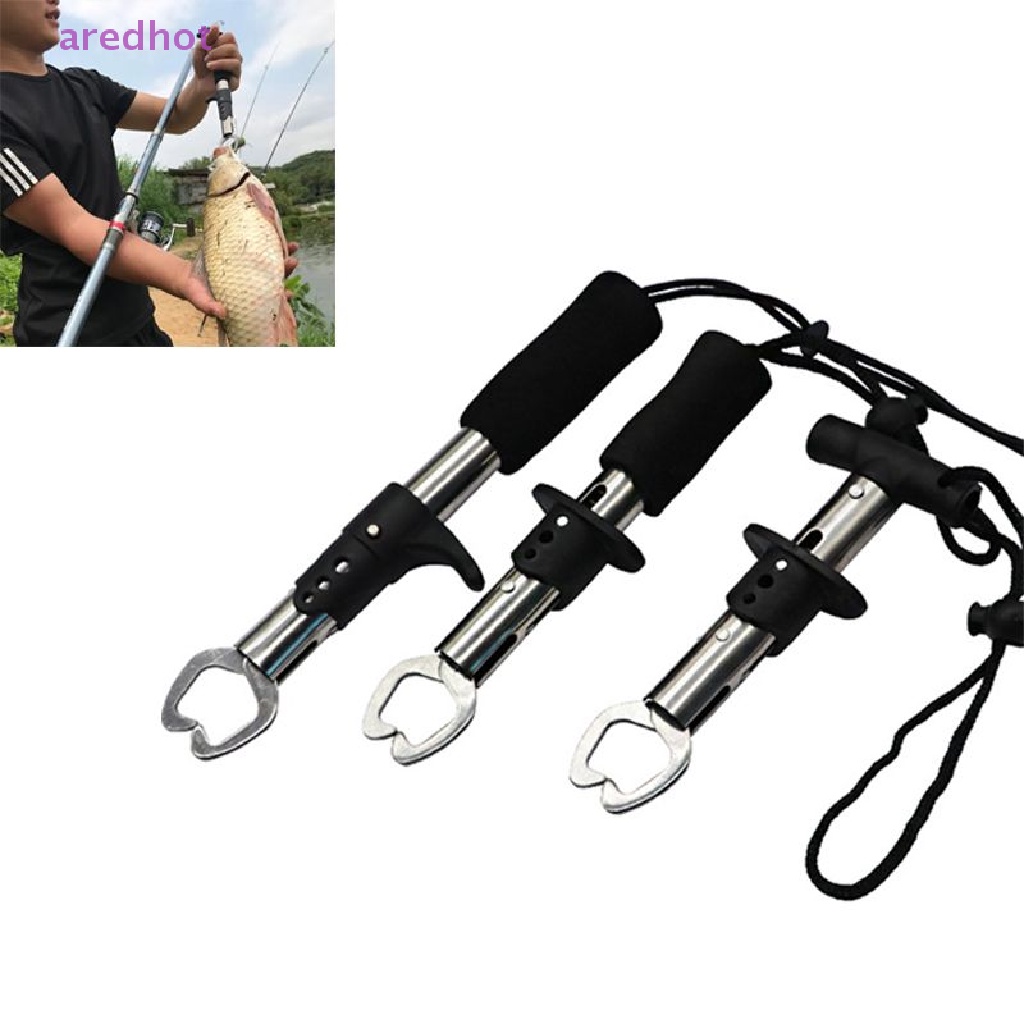 Kẹp Câu Cá Bằng Thép Không Gỉ Mới