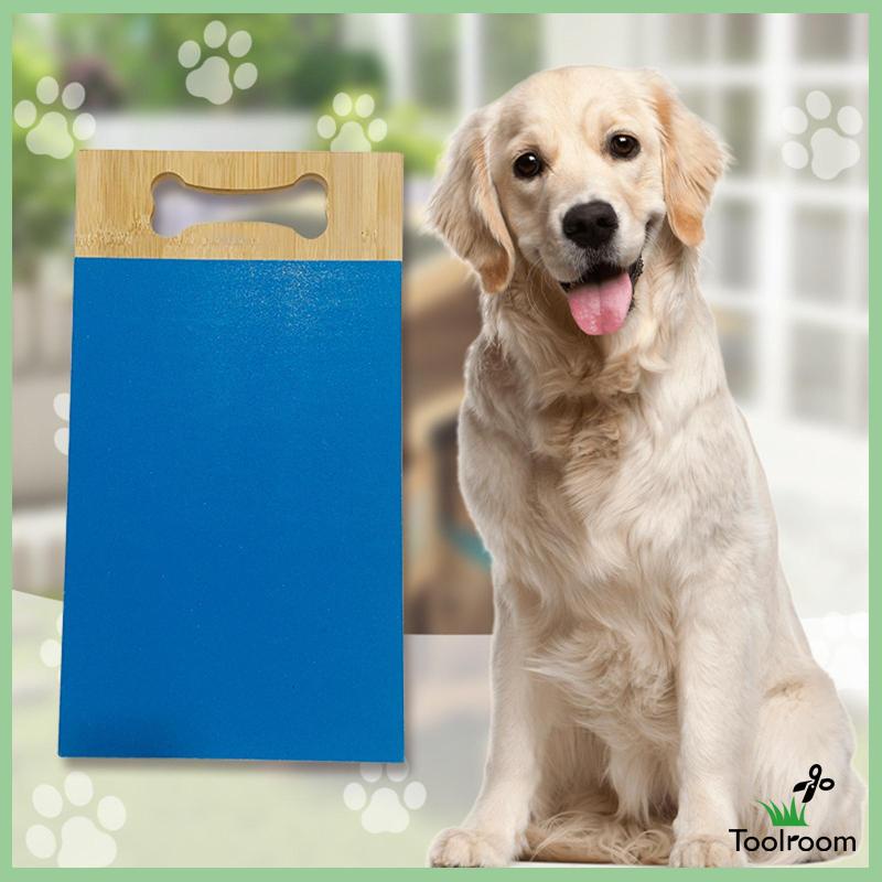 Set 6 Tờ Giấy Nhám 13 * 9 Inches Thay Thế Tiện Dụng