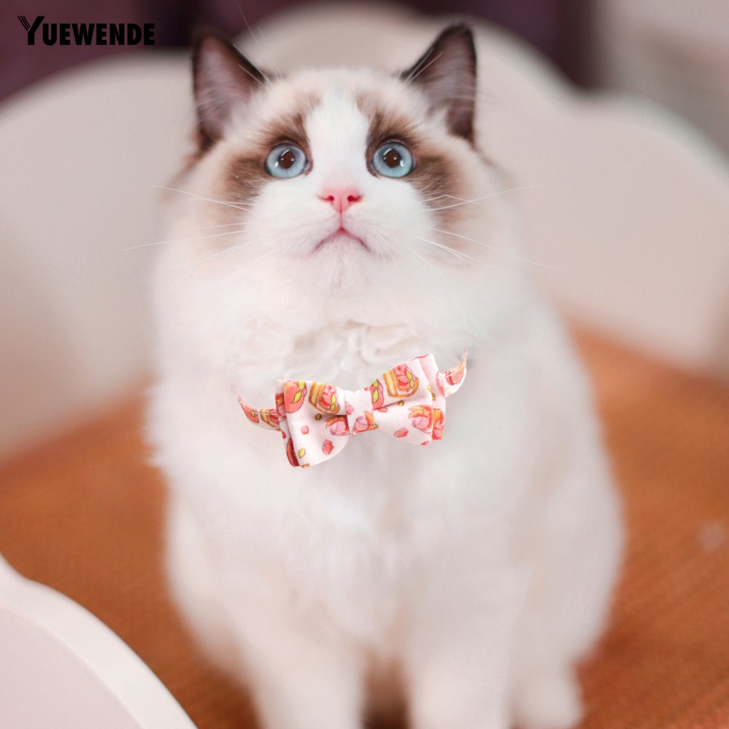 Vòng Cổ Dắt Thú Cưng Đi Dạo Chống Mòn Tiện Dụng