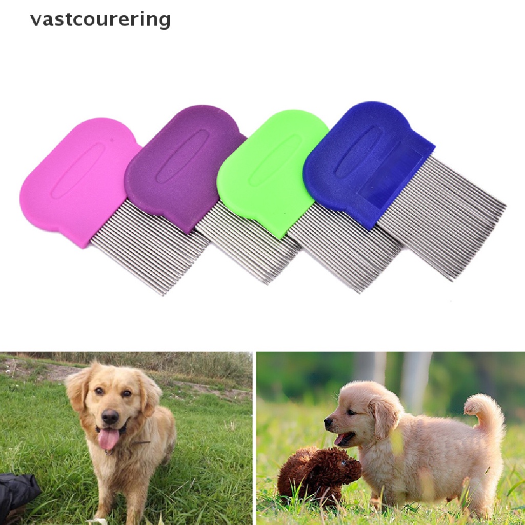 Vast Lược Chải Tóc Anoplura Flea Bằng Thép Không Gỉ Cho Trẻ Em