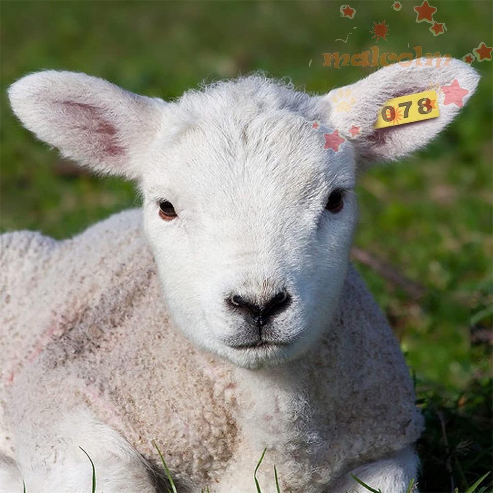 Set 100 Thẻ Đánh Dấu Tai Động Vật Nhiều Màu Sắc