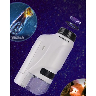 Kính Hiển Vi Đồ Chơi Cho Bé