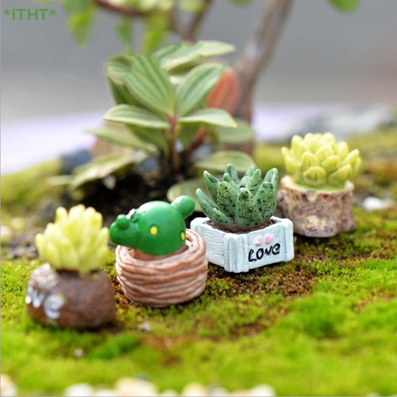 Cây Xương Rồng Giả Mini Sống Động Dùng Trang Trí Mới