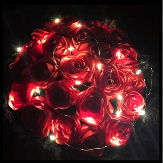 Dây Đèn LED Trang Trí Dài 2M / 1M
