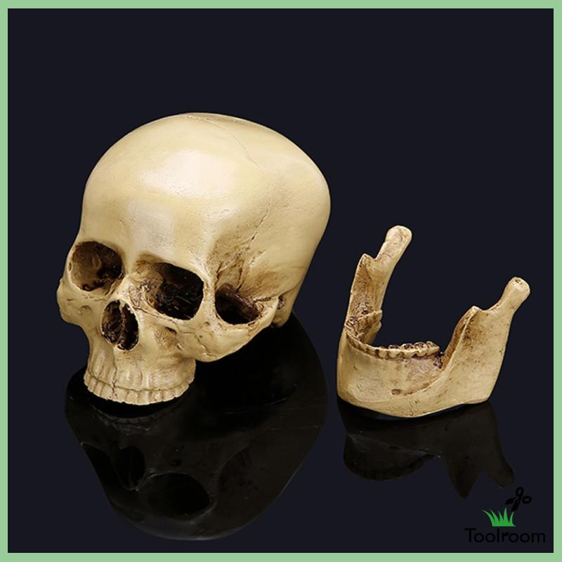 Mô Hình Đầu Lâu Phong Cách Gothic Trang Trí Nhà Cửa