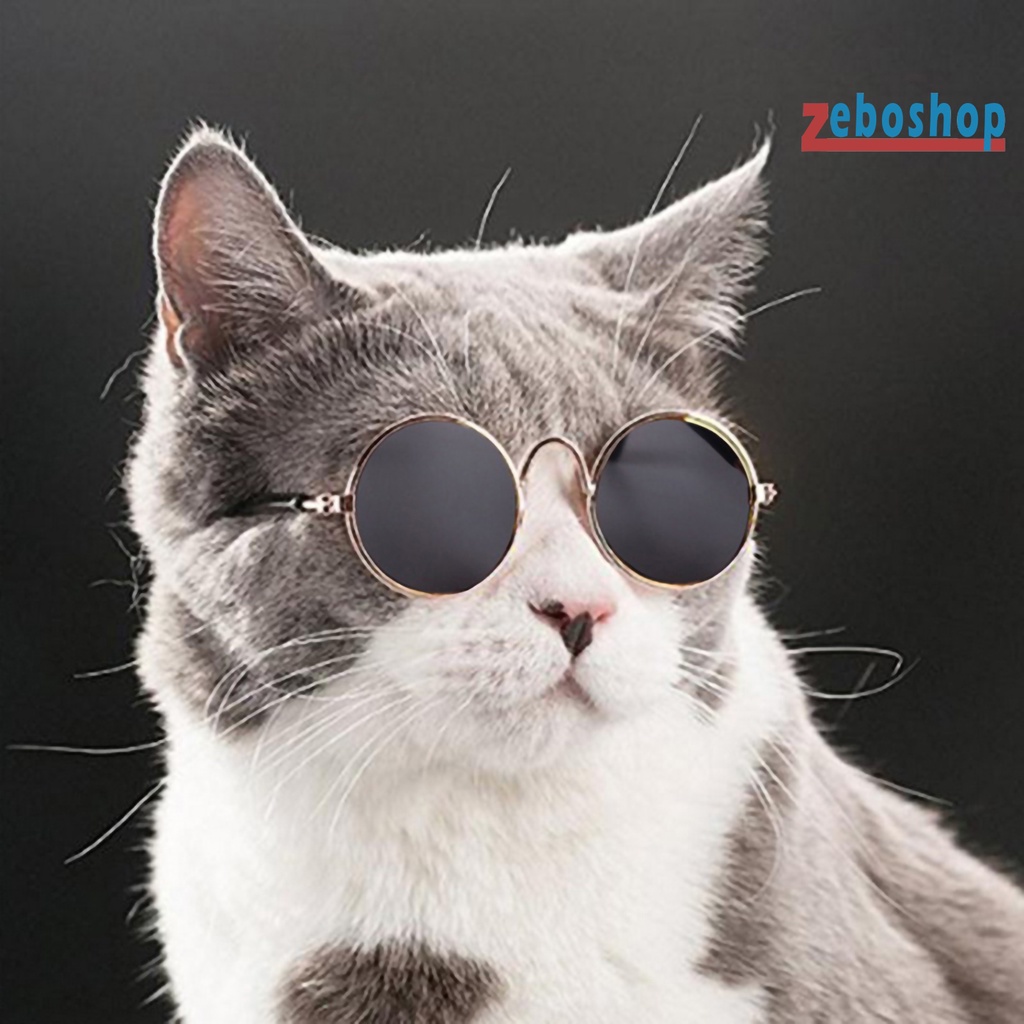 Zeboshop Kính Mát Gọng Mini AC Trong Suốt Thời Trang Cho Thú Cưng Chụp Ảnh