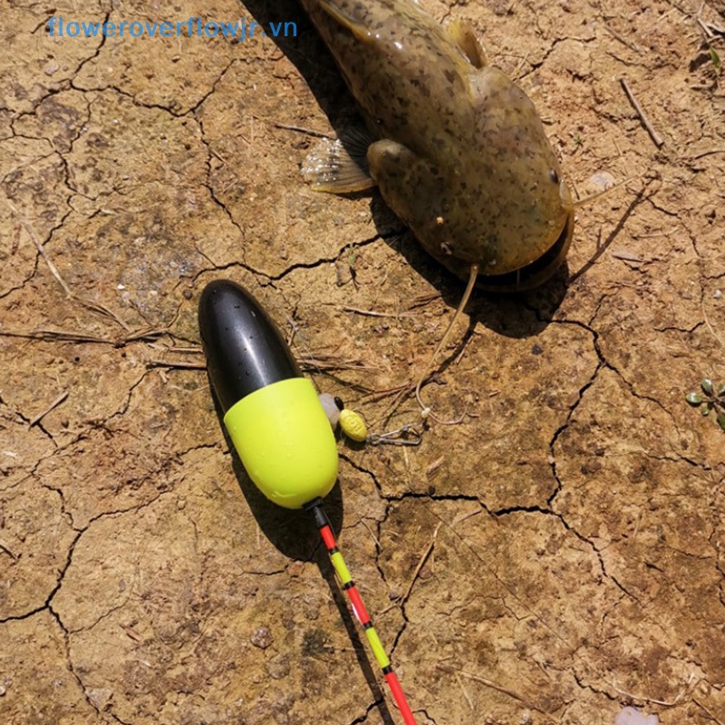 Bộ Phao Nổi Câu Cá Tự Động Dạ Quang