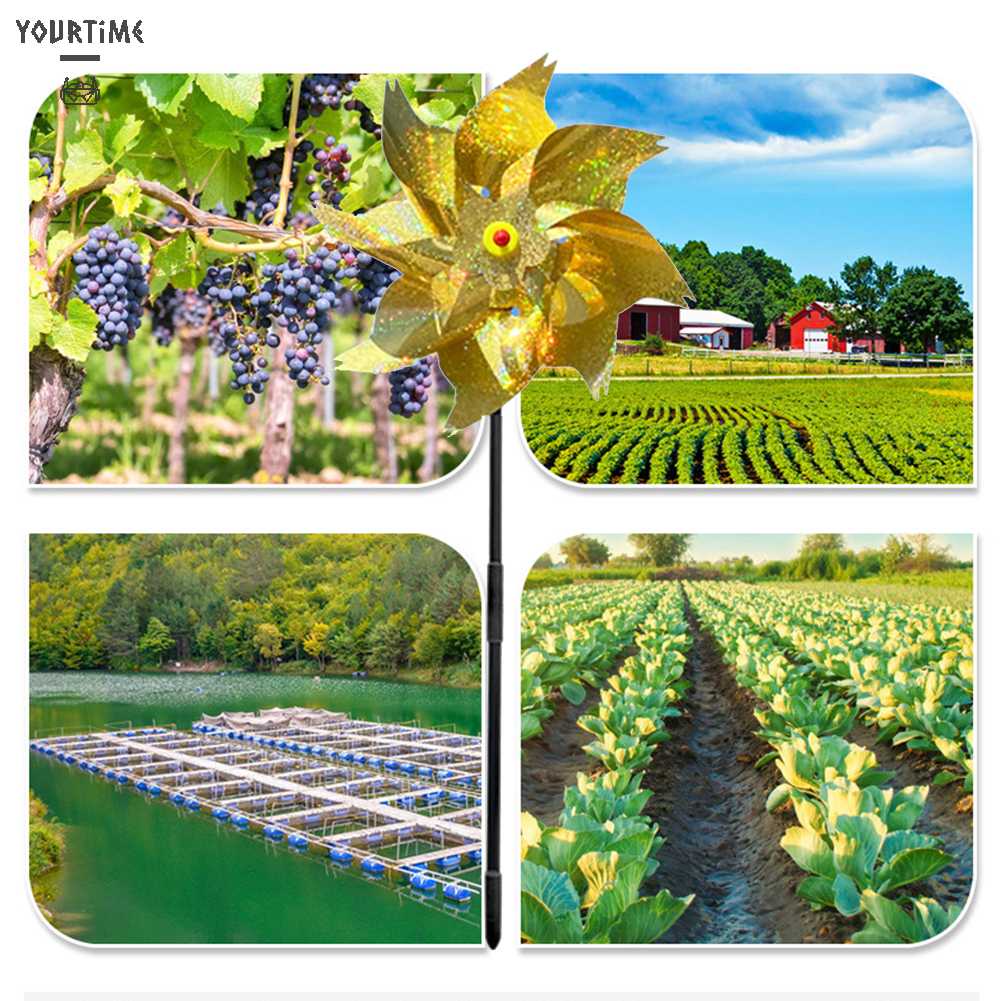 Chong Chóng Gió Dùng Trang Trí Sân Vườn