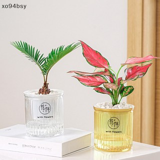 Chậu hoa tự tưới nước xo94bsy
