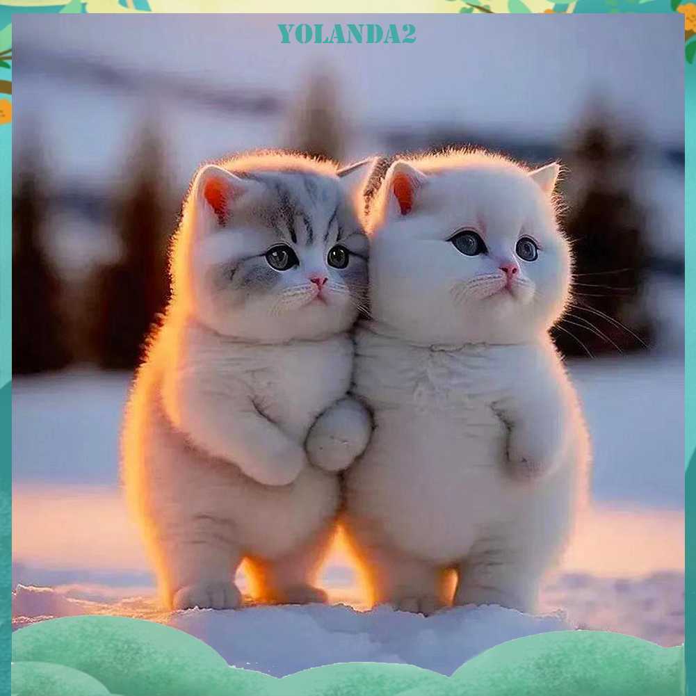 Tranh Đính Đá Kim Cương Toàn Bộ 5D DIY Hình Vẽ Mèo Trang Trí Nhà Cửa