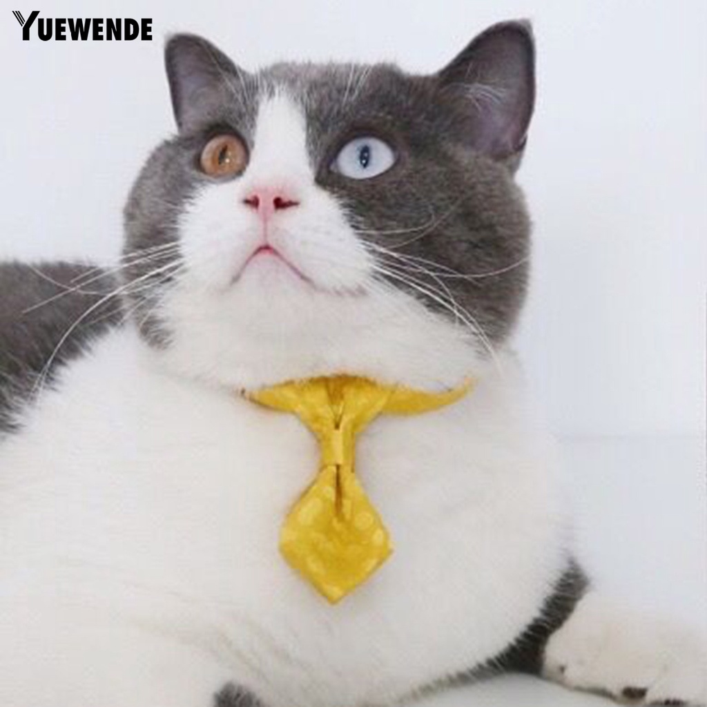 Vòng Cổ Họa Tiết Da Báo Cho Thú Cưng