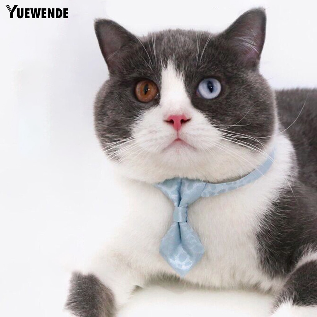 Vòng Cổ Họa Tiết Da Báo Cho Thú Cưng