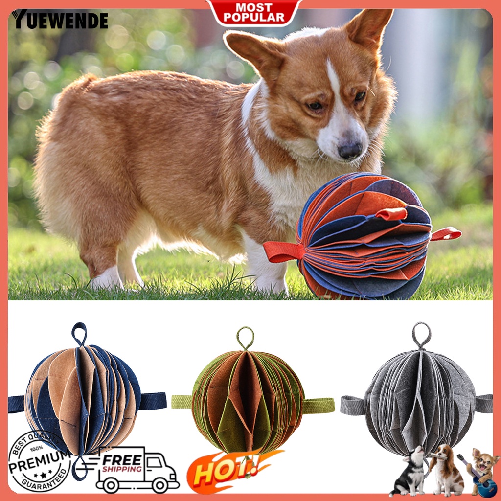 Bóng Đồ Chơi Chống Cắn Linh Hoạt Huấn Luyện Thú Cưng Trong Nhà