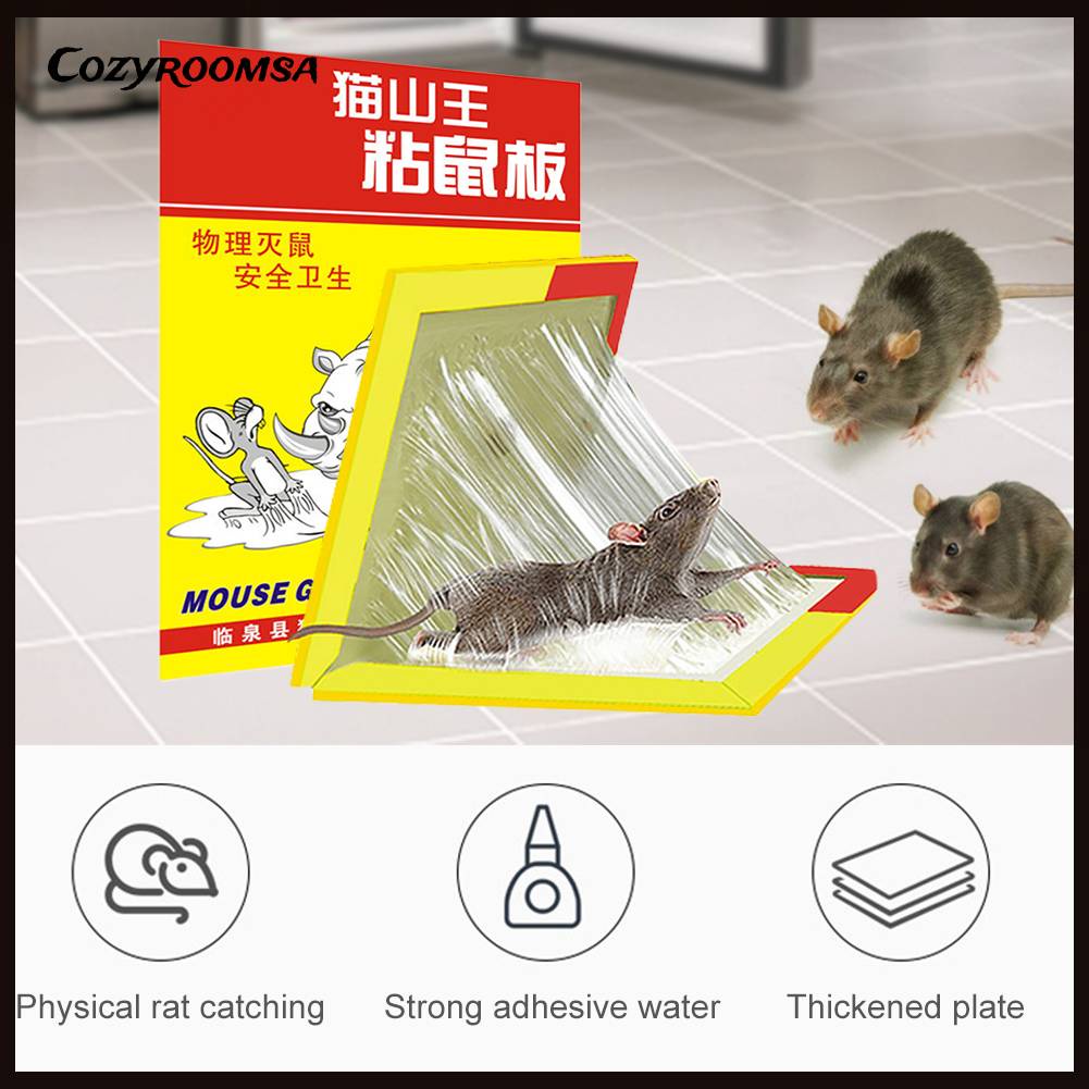 Giấy Dán Hình Chuột Bắt Giấc Mơ Trang Trí Nhà Bếp / Văn Phòng