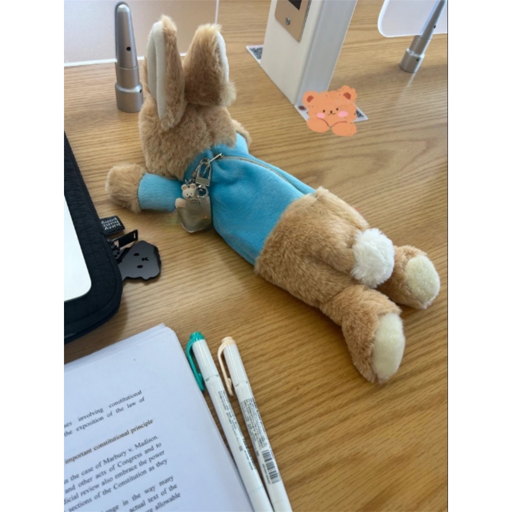 Túi Đựng Bút Hình Thỏ Peter Dễ Thương Kỉ Niệm 120 Năm