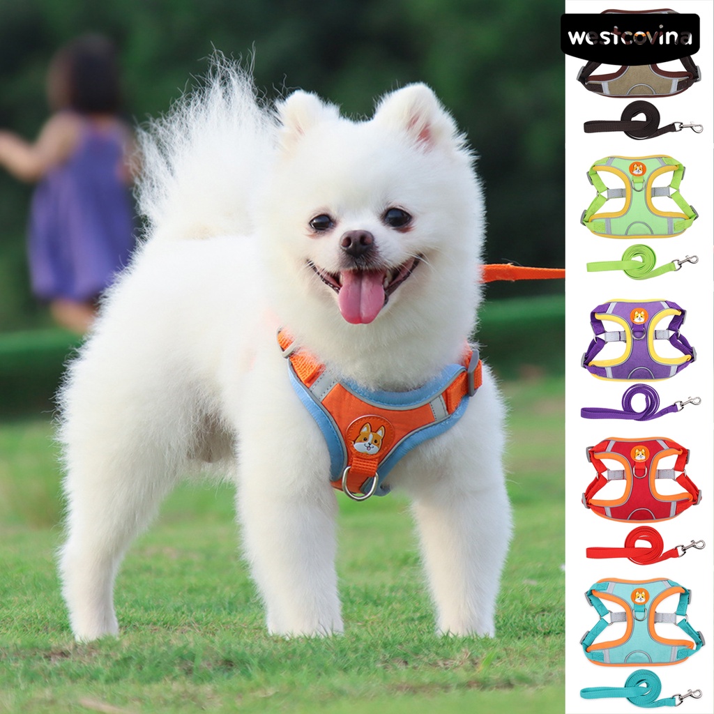 [COD]♞Set 2 Dây Dắt Thú Cưng Đi Dạo Chống Cút Thiết Kế Phản Quang Thoáng Khí