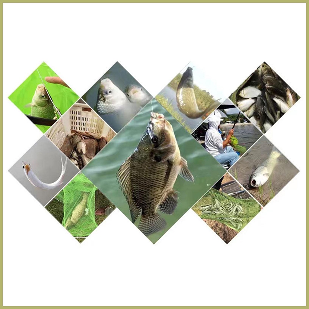 Hộp Lúa Mạch Nhiên Liệu Cho Cá Chép Catfish Trout Cod Bass Bền Dễ Sử Dụng