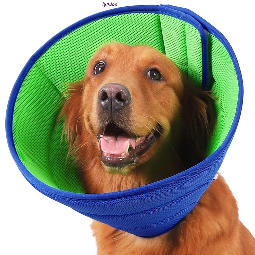 Lyndon dog neck cone anti-bite anti-grasping anti-licking mesh phụ kiện cho thú cưng có thể điều chỉnh vòng cổ cho chó thời elizabeth