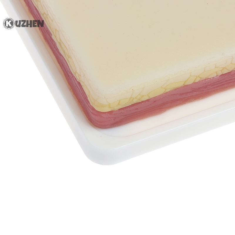 Mô hình thực hành tiêm tĩnh mạch kuzhen mô hình đào tạo khâu da người silicone hot
